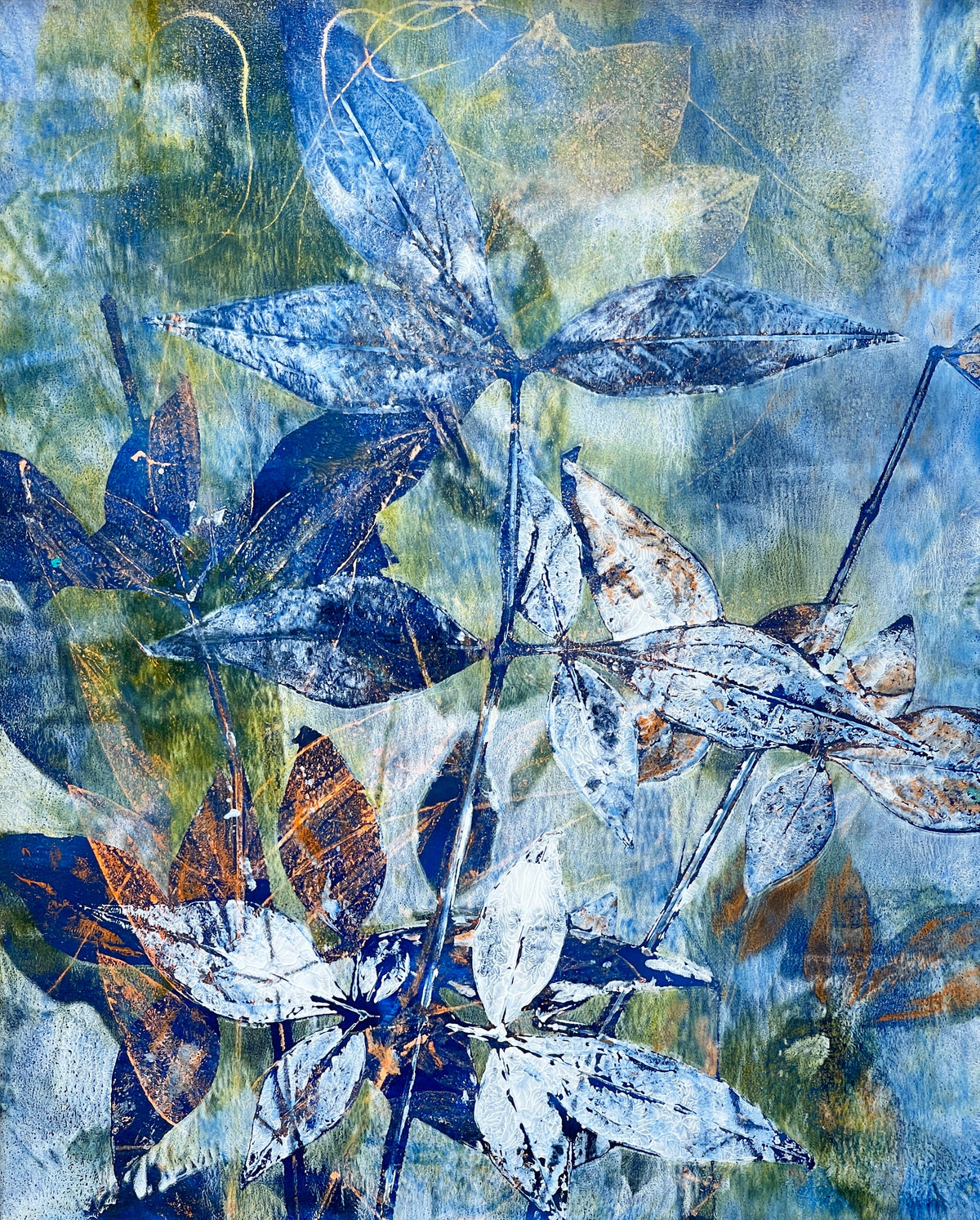 Monotypes: Flora