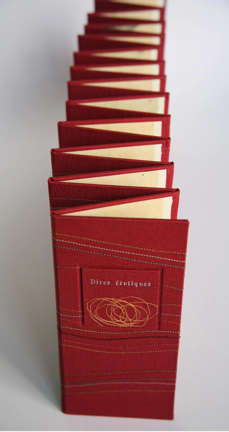 2010Book-DiresErotiques15.jpg