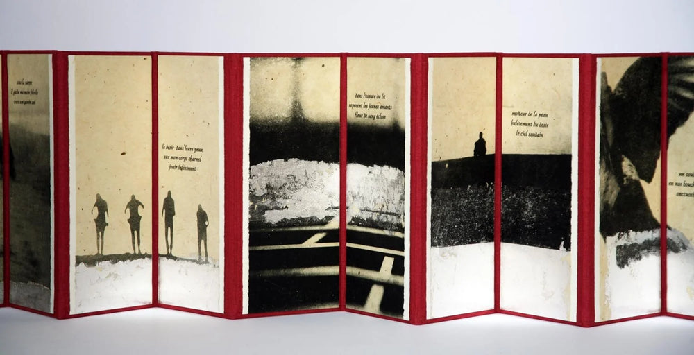 2010Book-DiresErotiques25.jpg