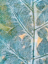 In The Cold <br>25x20 cm, 35x30 cm with mat <br>9.8”x7.9”, 13.8"x11.8" with mat