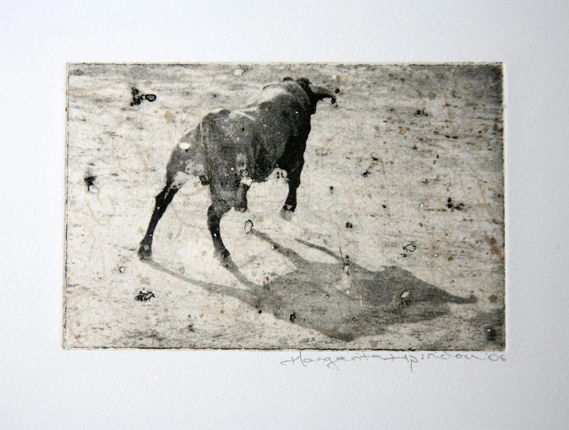 BullPrint2006.jpg