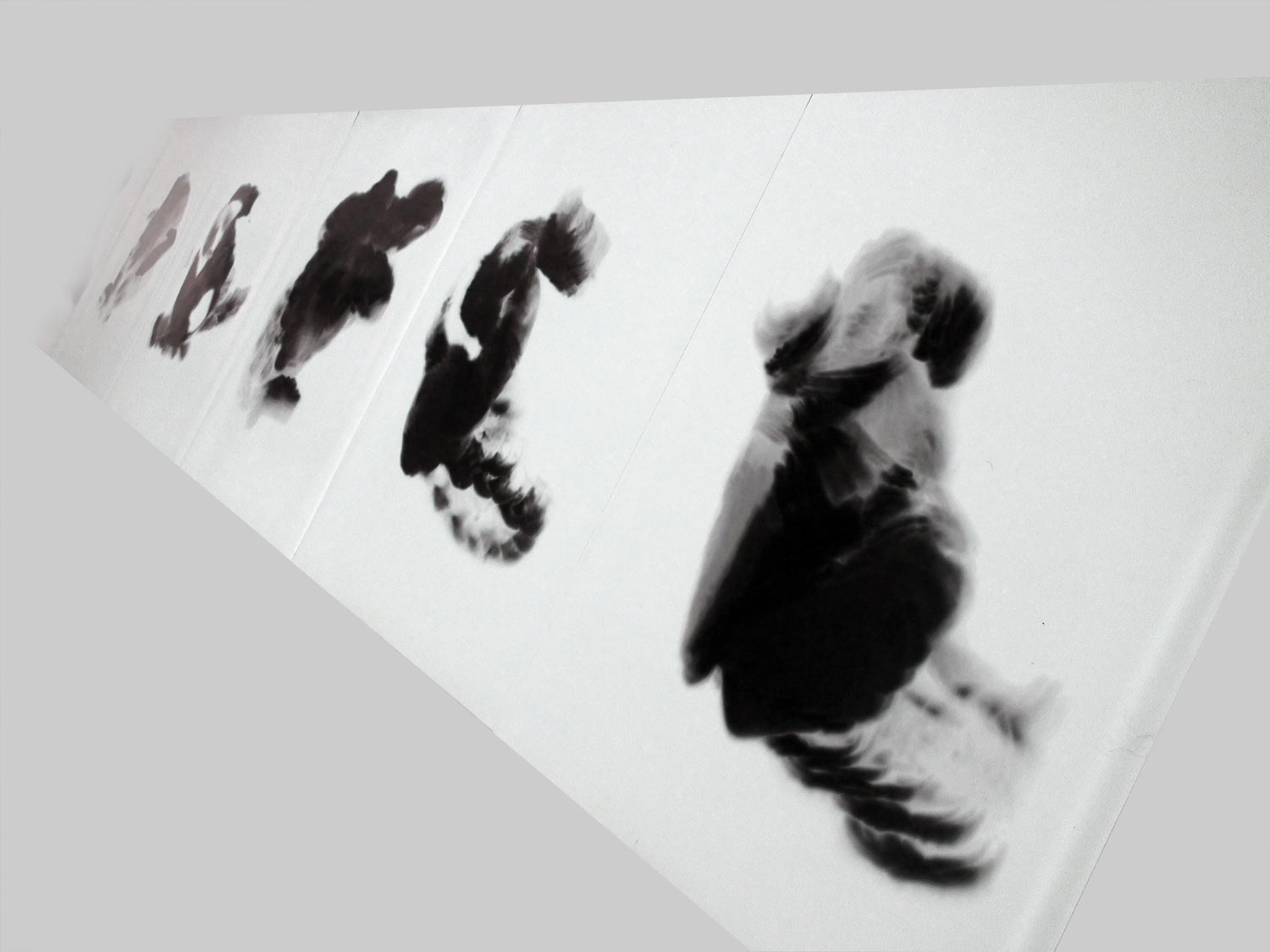 Untitled [Shadows]