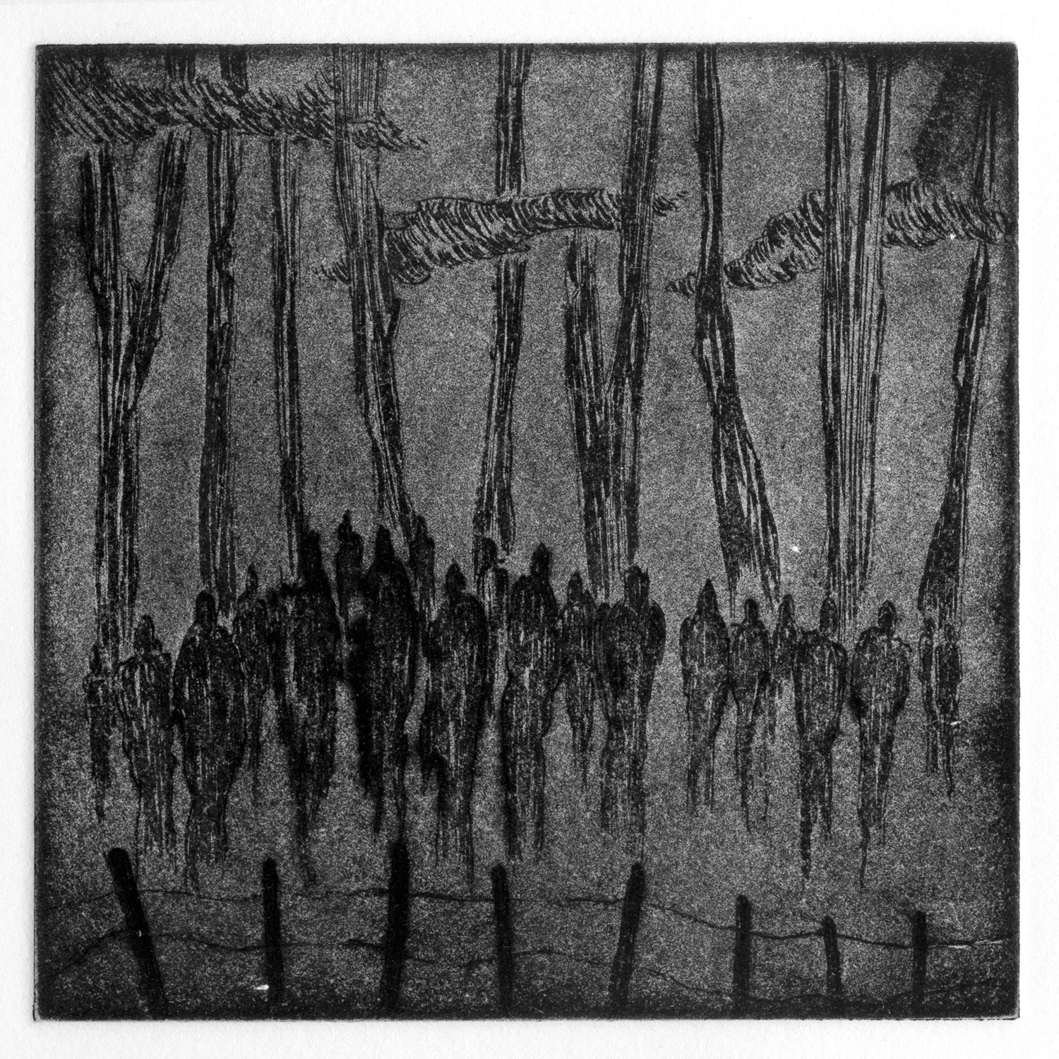 En+tropie / Transformation I