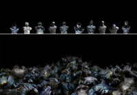 Plethora Of Horrors