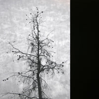 Remnants