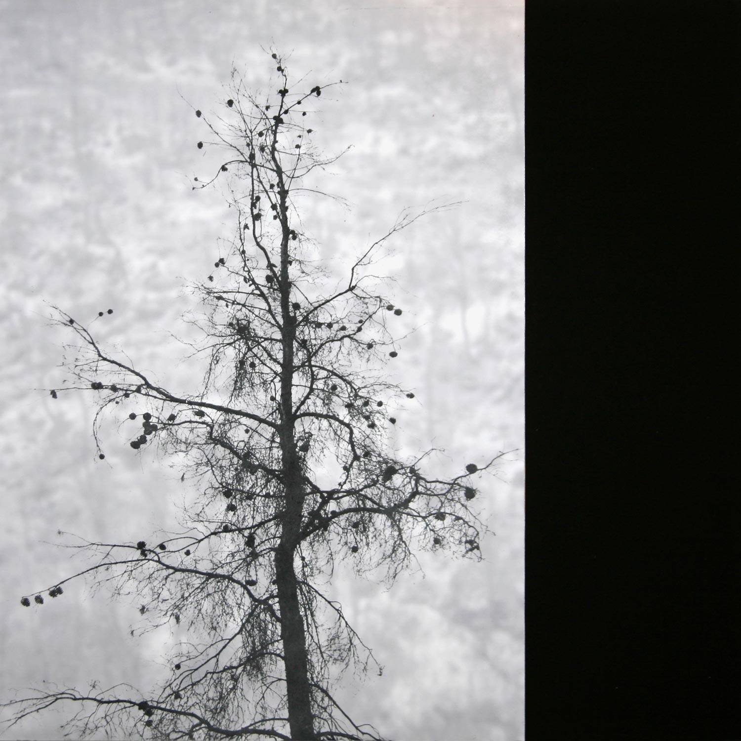 Remnants