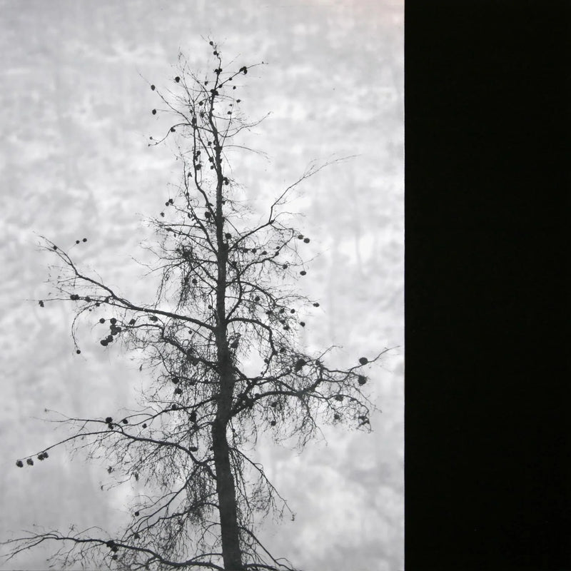 Remnants01-16x16in.jpg