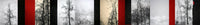 Remnants