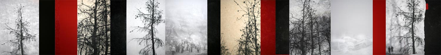 Remnants