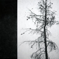 Remnants