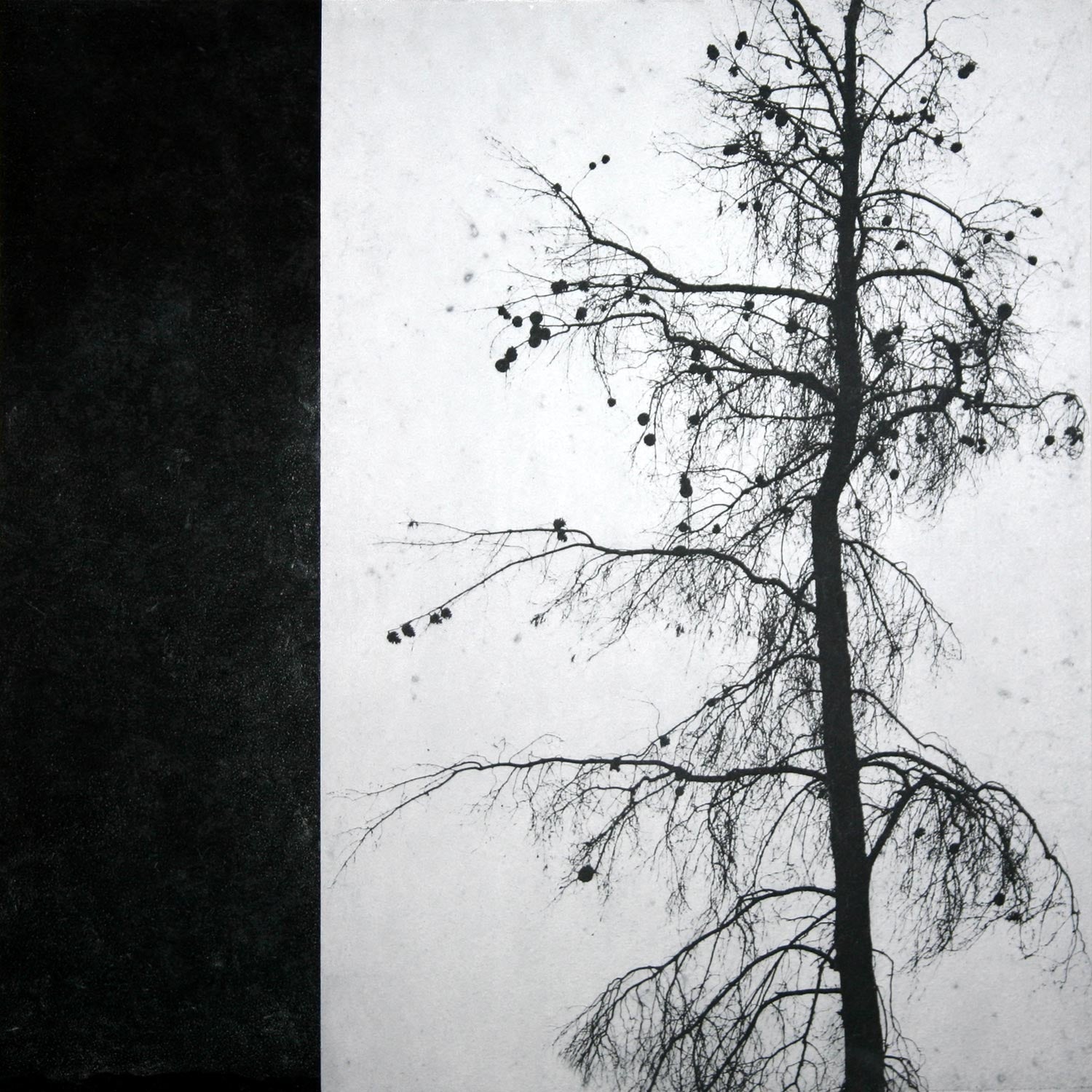 Remnants