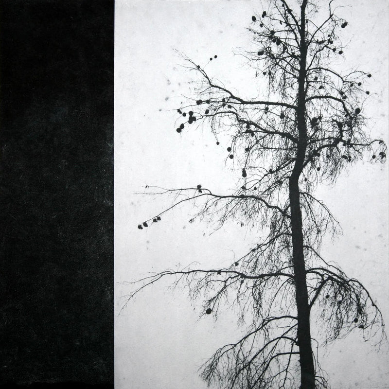 Remnants03-16x16in.jpg