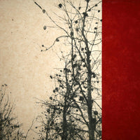 Remnants