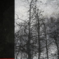 Remnants