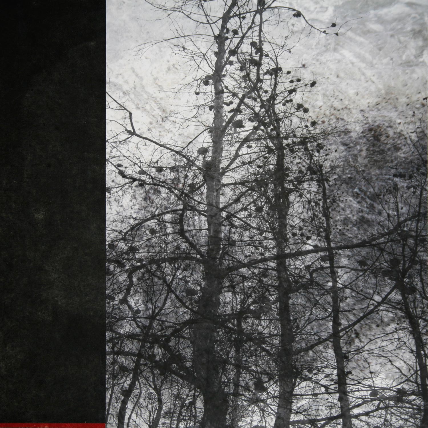 Remnants