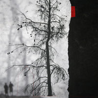 Remnants