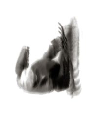 Untitled [Shadows]