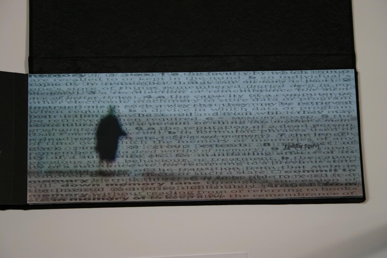 Memory Traces