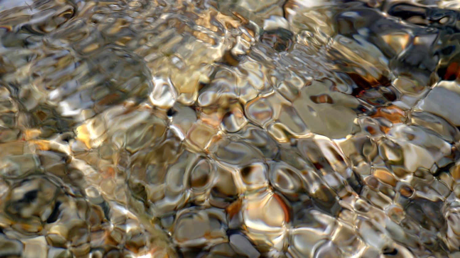 The World Is Heavier Outside Of Water
