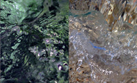 The World Is Heavier Outside Of Water