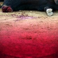 Ferdinand... Or Not
