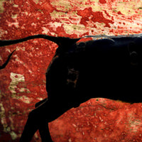 Ferdinand... Or Not