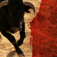 Ferdinand... Or Not