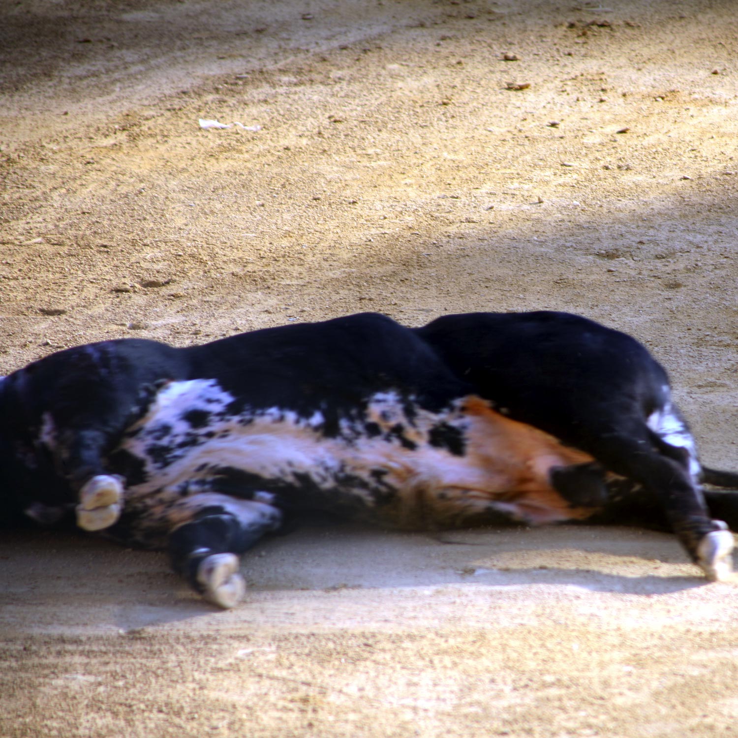 Ferdinand... Or Not