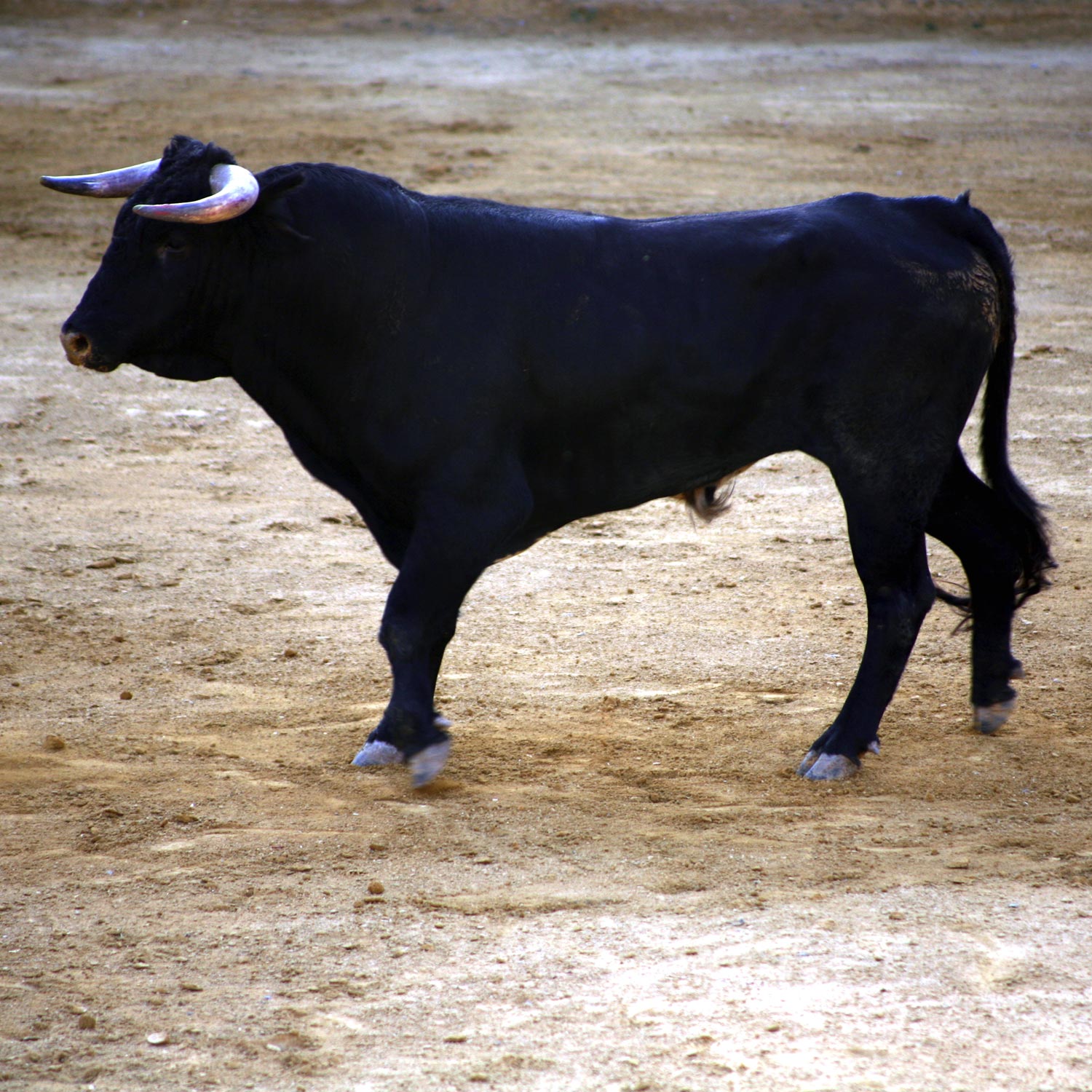 Ferdinand... Or Not