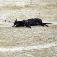 Ferdinand... Or Not