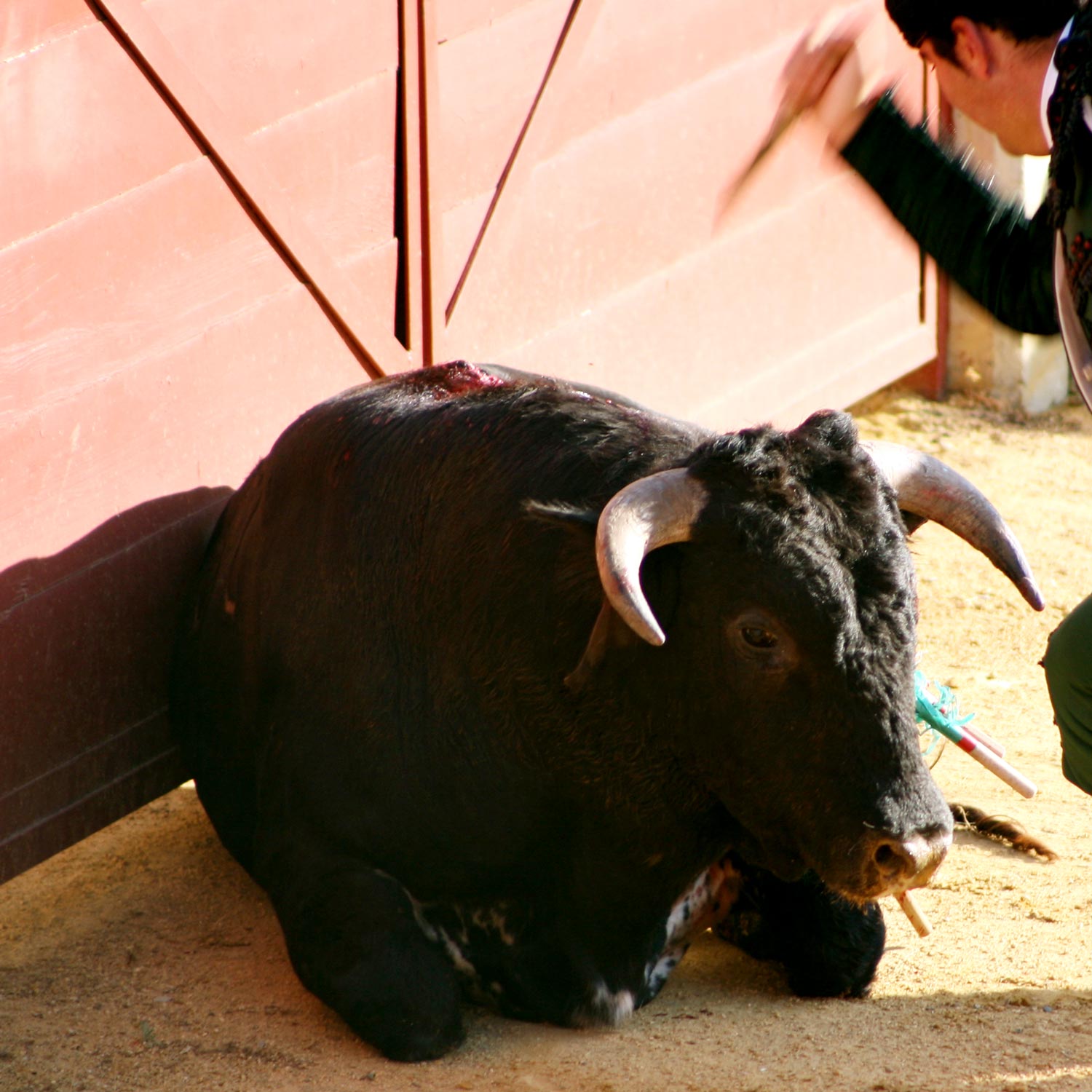 Ferdinand... Or Not
