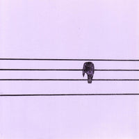 Journey From Pole To Pole