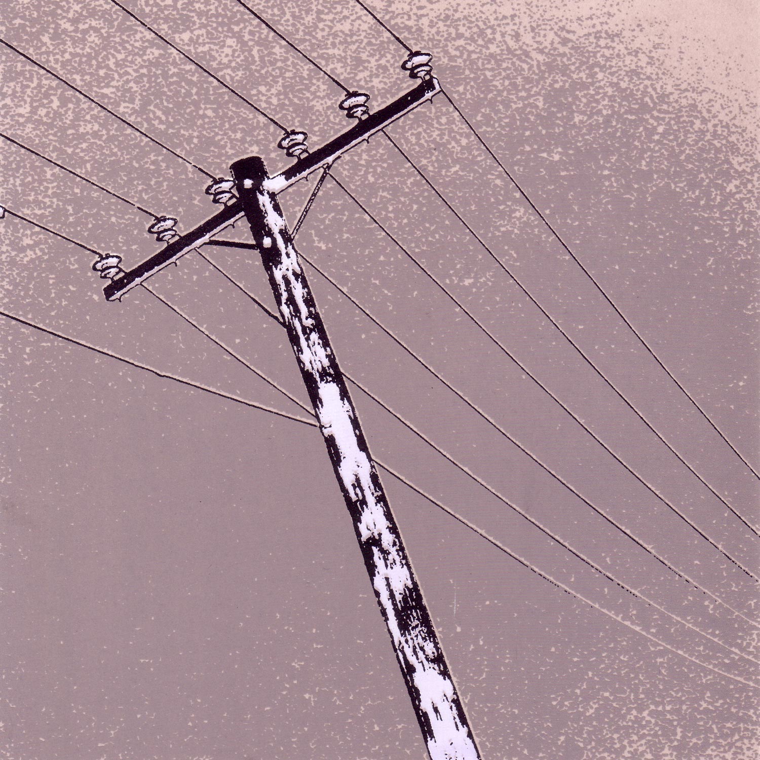 Journey From Pole To Pole