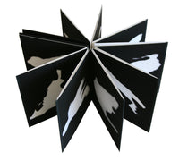 Untitled [Shadows]