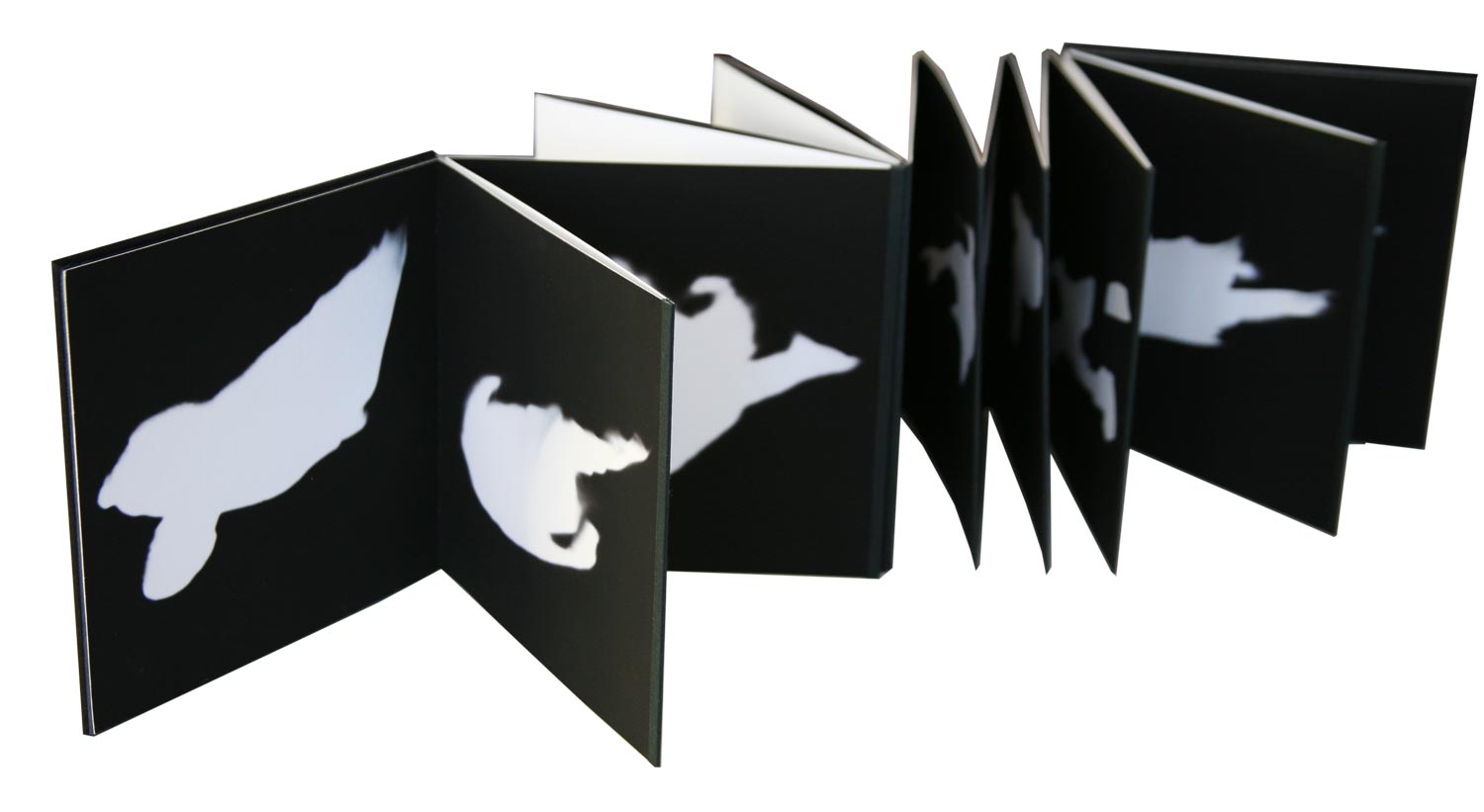 Untitled [Shadows]