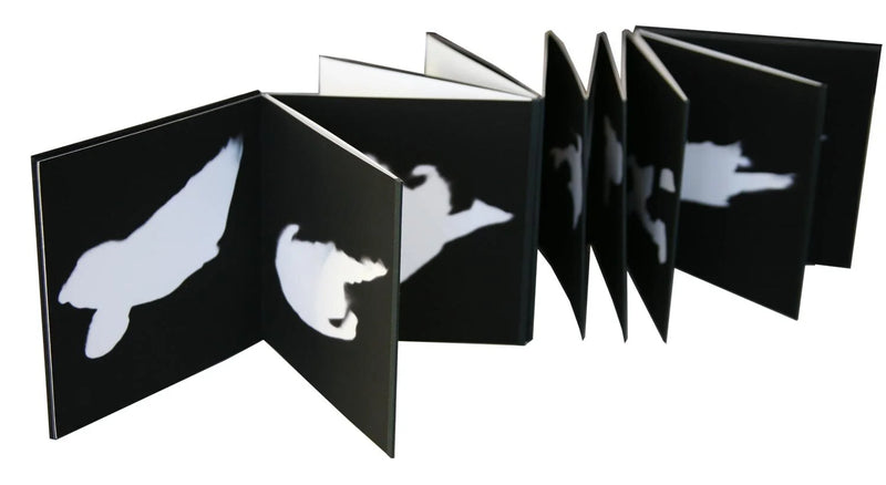 untitledshadbook08-03.jpg